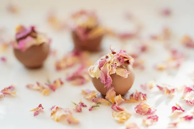 Pedalada10 Kasino Android/iOS Aplikácia